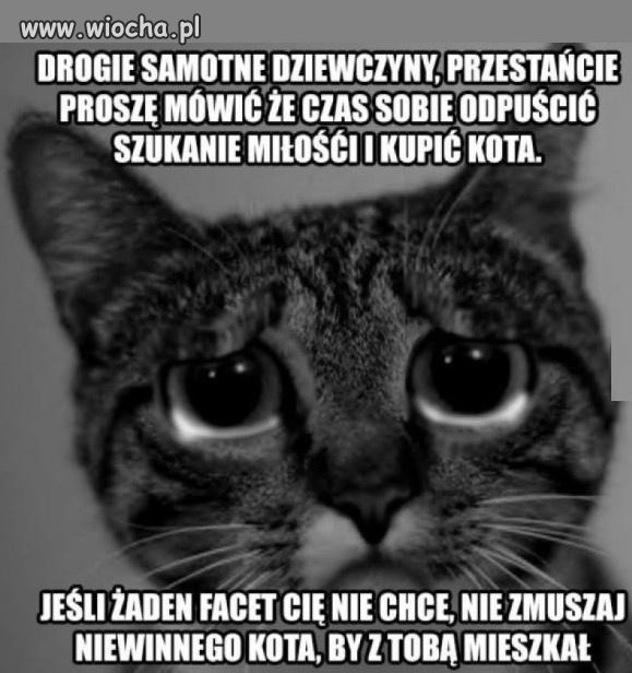 Biedne koty