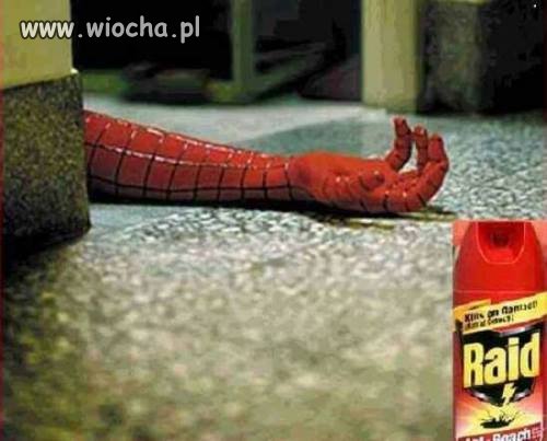 Raid najlepszy
