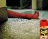 Raid najlepszy