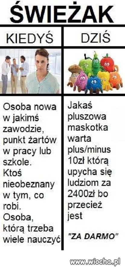 Słowniki Polskiego trzeba zaktualizować.