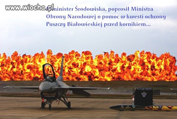 Pomoc międzyresortowa