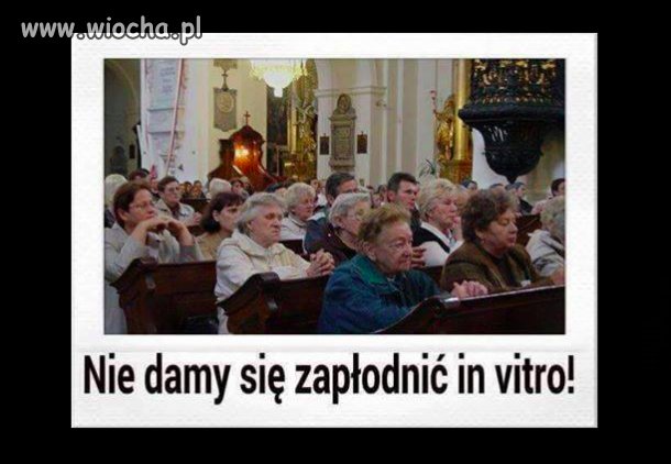 Nie dadzą się 