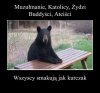 Co za różnica