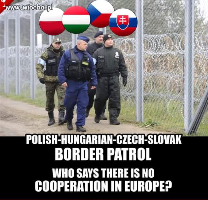 Europo! Ucz się od Wyszechradu...