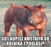 Heheszki