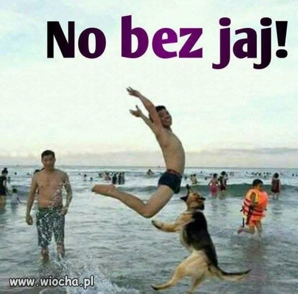 W odpowiednim miejscu..