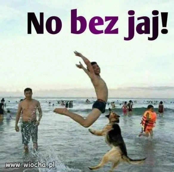 W odpowiednim miejscu..