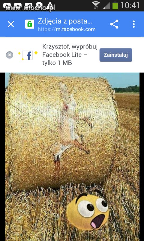A to u mojego sąsiada na polu.