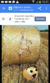 A to u mojego sąsiada na polu.