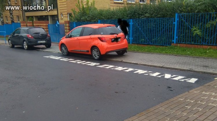 Zakaz zatrzymywania dla bezpieczenstwa dzieci.