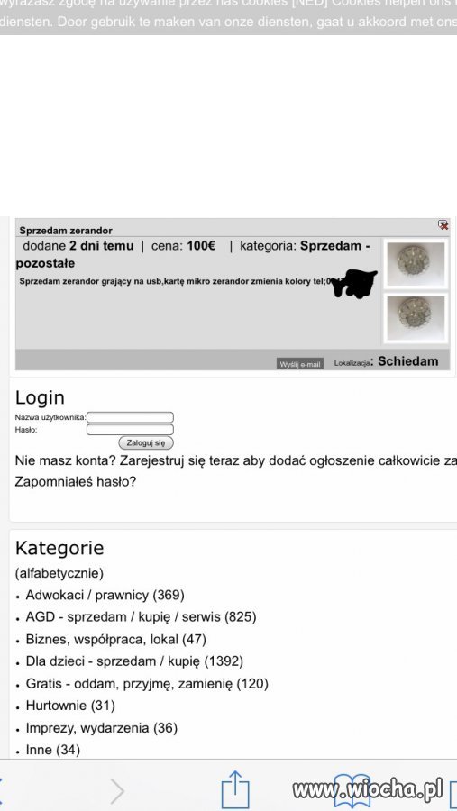 Zerandor grający 