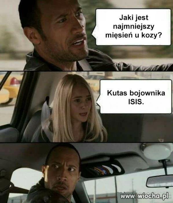 Pytanie