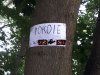 Do wynajęcia nad morzem...