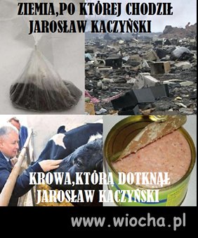 Ziemia i krowa