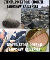 Ziemia i krowa