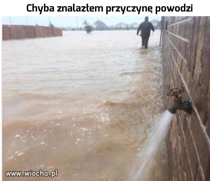 Przyczyna