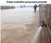 Przyczyna