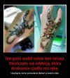 No i teraz ma trójwymiarowy