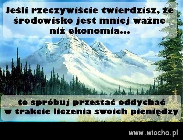 Policz swoją kasę