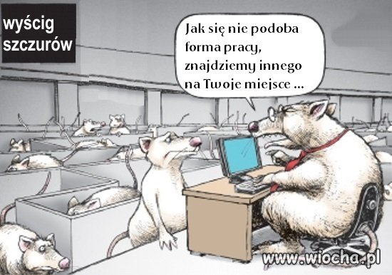 Wyścig szczurów