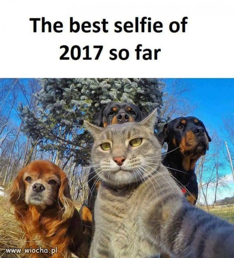 Best selfie