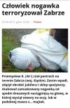 Człowiek nogawka