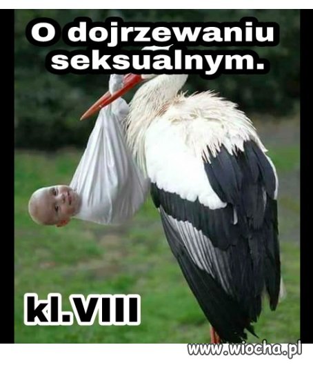 Nowy program nauczania