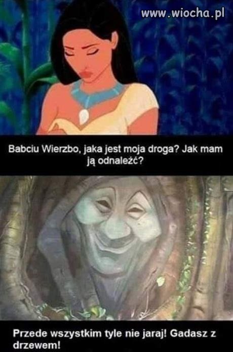 Babcia wierzba