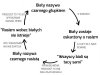 Gdyby nie my, 