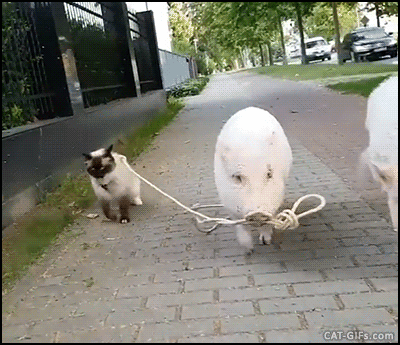 Taki tam...