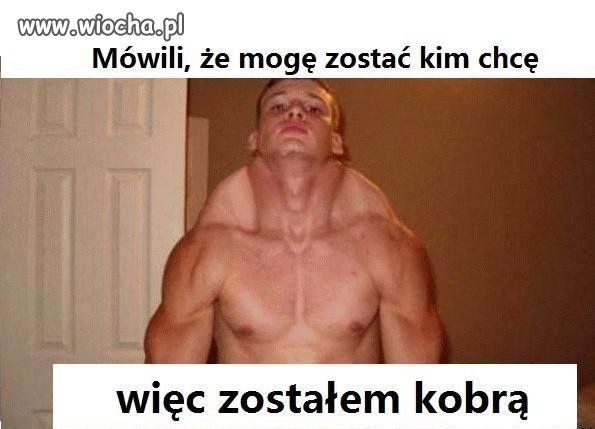 Dziecko Tajgera i Cobry