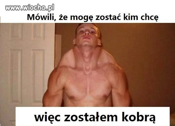 Dziecko Tajgera i Cobry