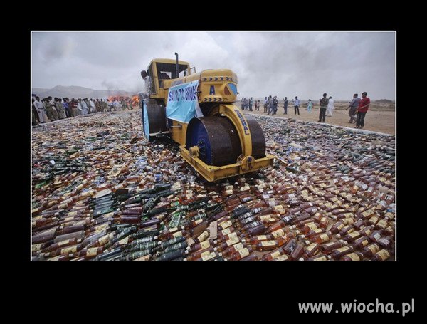 Nigdy nie jeżdżę po alkoholu