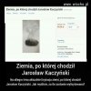 Aukcja