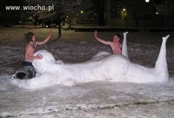Się zgrali