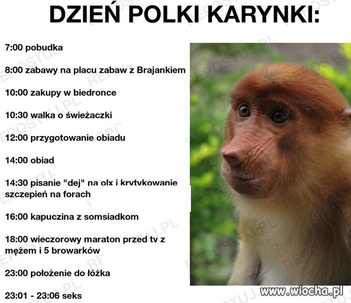 Troche życie się burzy