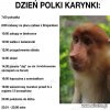 Troche życie się burzy