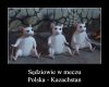 Coś w tym stylu