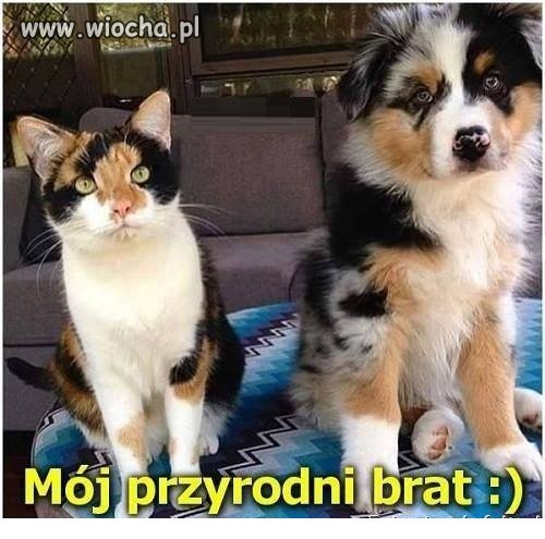 Nie znasz dnia,ani godz