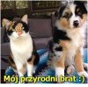 Nie znasz dnia,ani godz