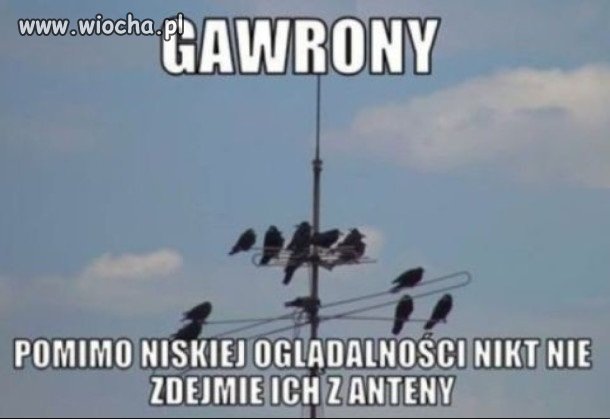 Dziwny przypadek...