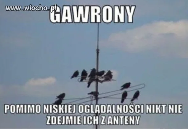 Dziwny przypadek...