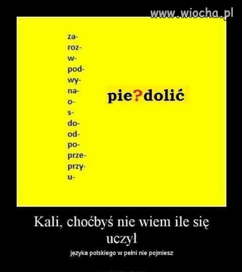 I tak nie ogarnie