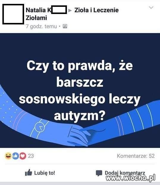 W sumie martwi ludzie nie chorują