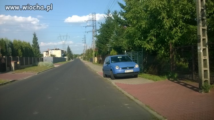 Nieudacznik