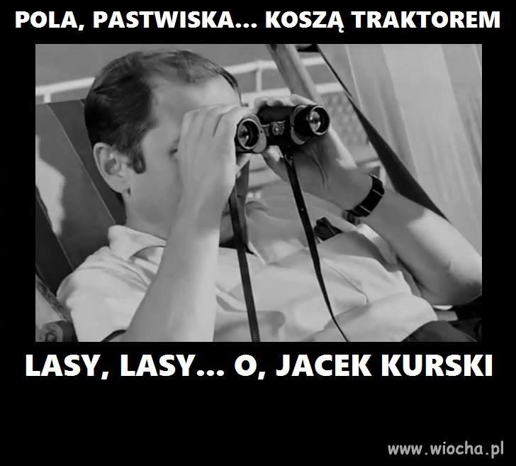 Pola pola 
