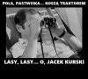 Pola pola 
