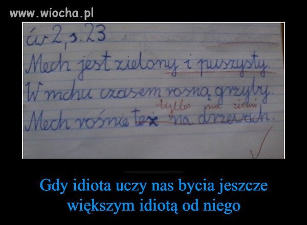 Nie będę tego komentował