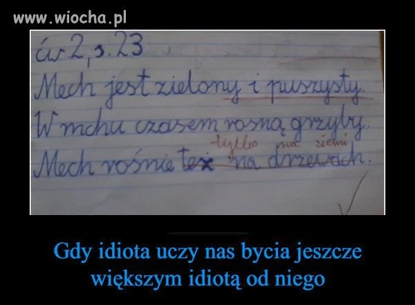 Nie będę tego komentował