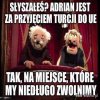Taka sytuacja...